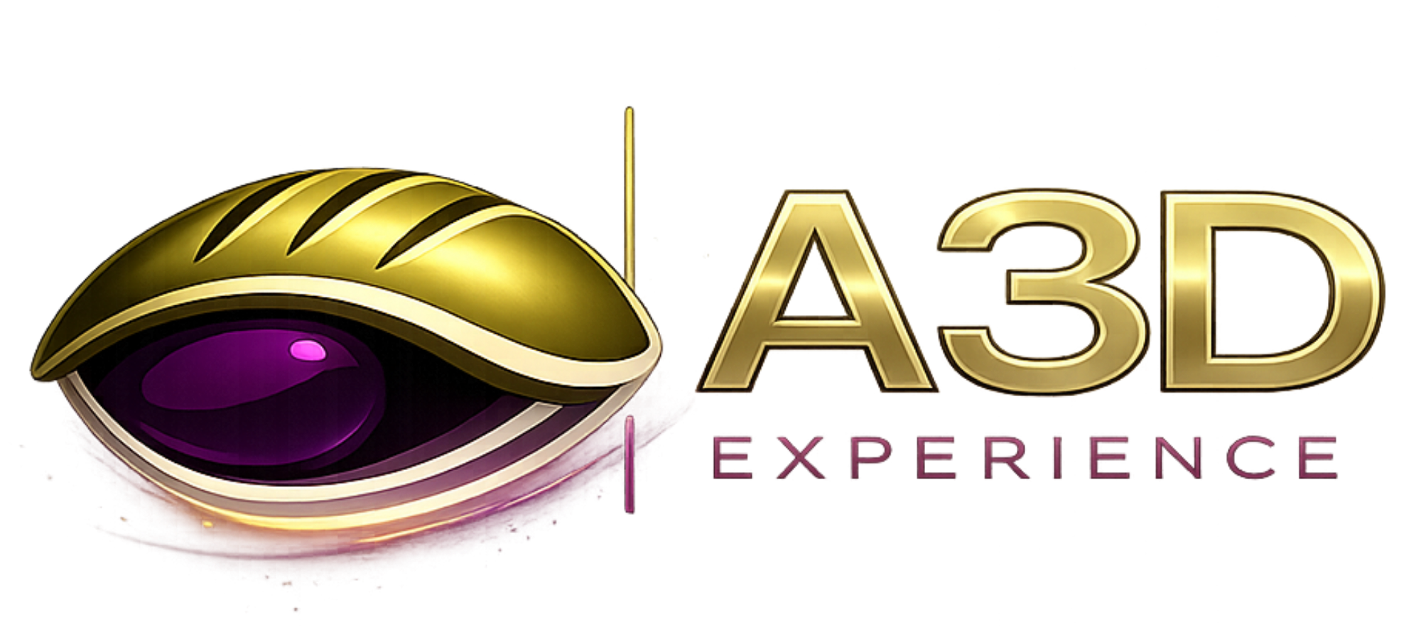 A3D Experience